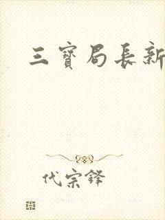 三宝局长新编封面