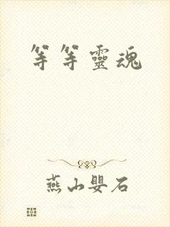 等等灵魂