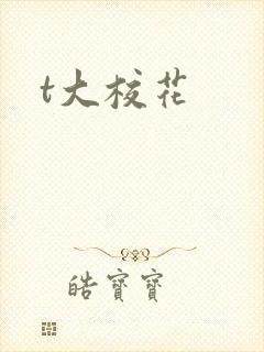 t大校花
