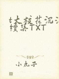 t大校花沉浮录续集TXT
