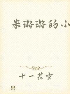 米璐璐的小说