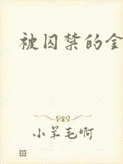 被囚禁的金丝雀