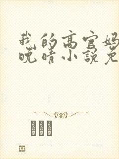 我的高官妈妈苏晚晴小说免费阅读