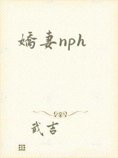 娇妻nph