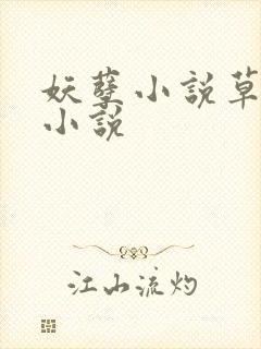 妖孽小说草莓酱小说