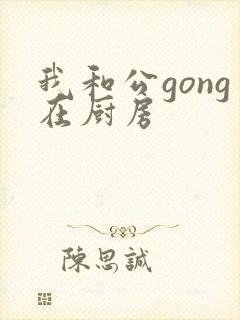 我和公gong在厨房
