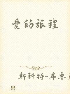 爱的旅程
