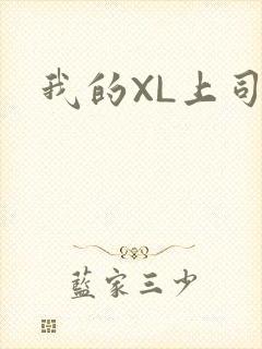 我的XL上司
