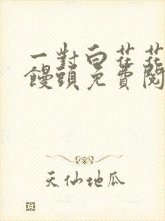 一对白花花的大馒头免费阅读