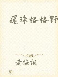 还珠格格野传封面