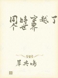 同时穿越了99个世界