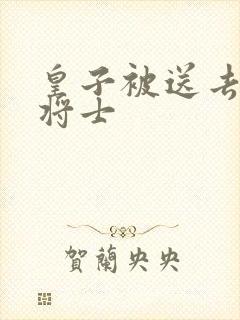 皇子被送去犒劳将士