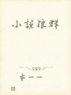 小说狼群
