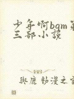 少年啊bgm第三部小说