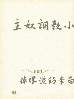 主奴调教小说封面