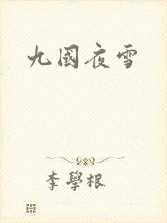 九国夜雪封面