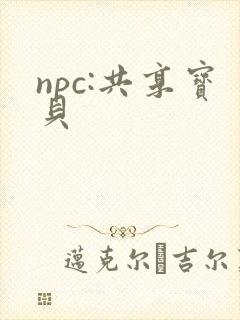 npc:共享宝贝封面