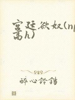 宫廷欲奴(np高h)