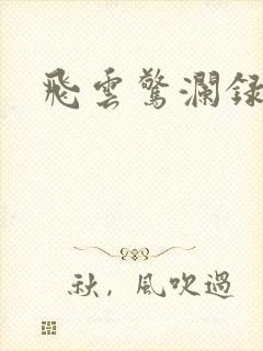飞云惊澜录
