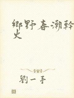 乡野春潮干柴烈火封面