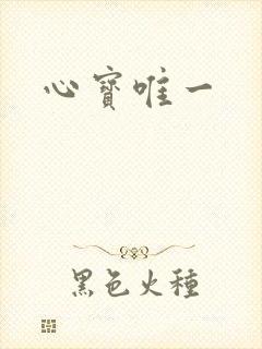 心宝唯一
