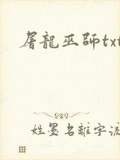 屠龙巫师txt