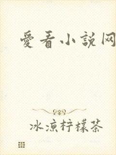 爱看小说网