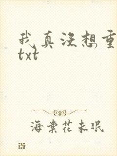 我真没想重生啊txt