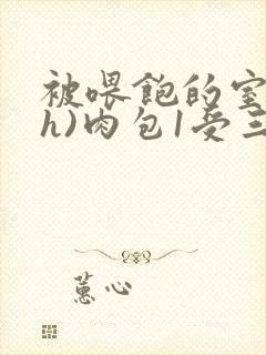 被喂饱的室友(h)肉包1受三攻封面