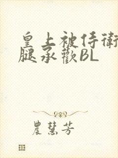 皇上被侍卫抵开腿承欢BL