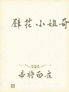 壁花小姐奇遇记