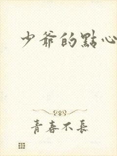 少爷的点心封面