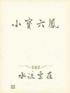 小宝六凤
