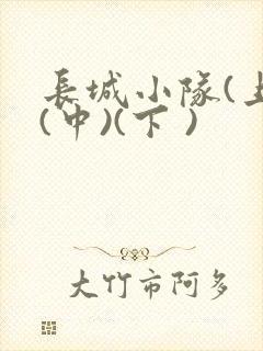 长城小队(上)(中)(下 )