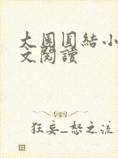 大团圆结小茹全文阅读
