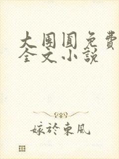 大团圆免费阅读全文小说