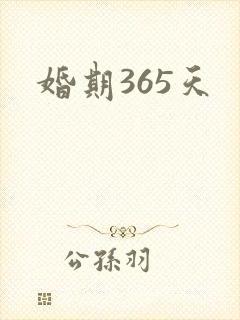 婚期365天封面