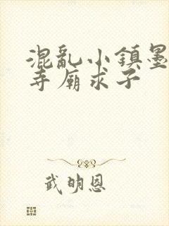 混乱小镇墨池砚寺庙求子封面