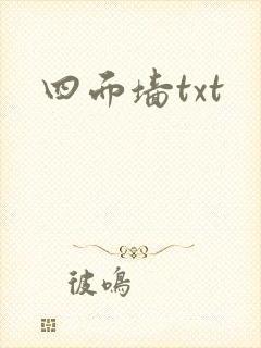四面墙txt