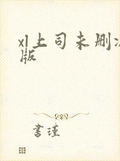 xl上司未删减版