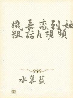 机长脔到她哭h粗话h视频