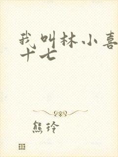 我叫林小喜今年十七