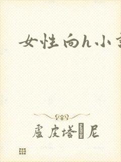 女性向h小说封面