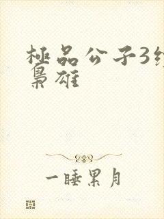 极品公子3续世枭雄