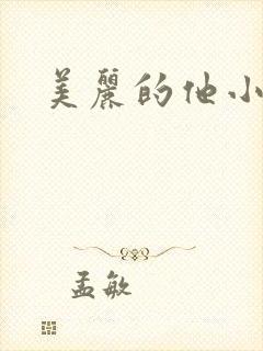 美丽的他小说封面