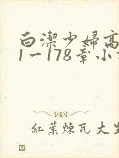 白洁少妇高义第1一178章小说