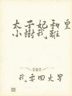 太子妃和皇上在小树我离封面