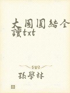 大团圆结全文阅读txt