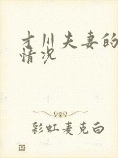 才川夫妻的恋爱情况