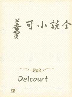 姜可小说全文免费封面